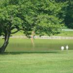 Wide open fields awaited the bikers 
 when they arrived at Kauffman Chicken Ranch